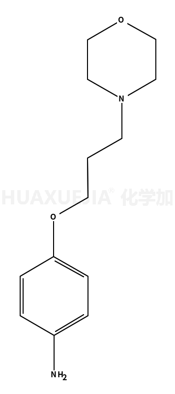4-(3-吗啉-4-基-丙氧基)-苯胺