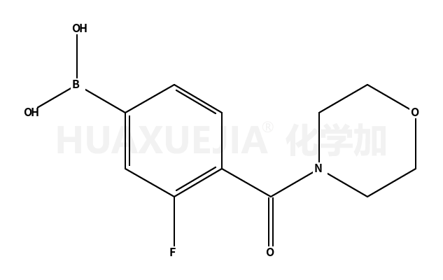 3-氟-4-(吗啉-4-羰基)苯基硼酸