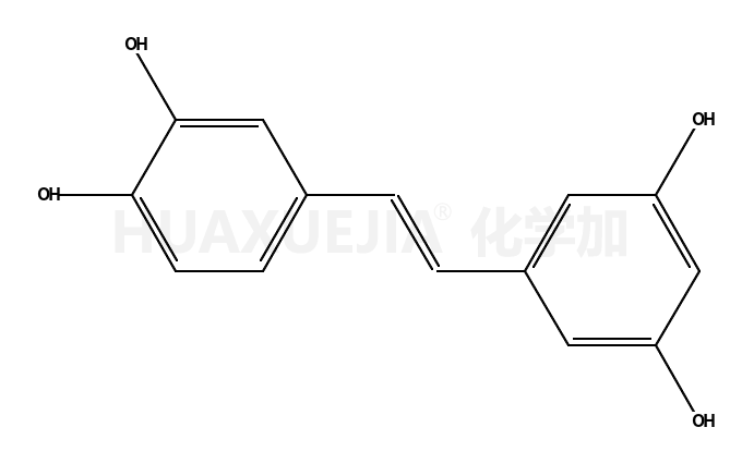 白皮杉醇