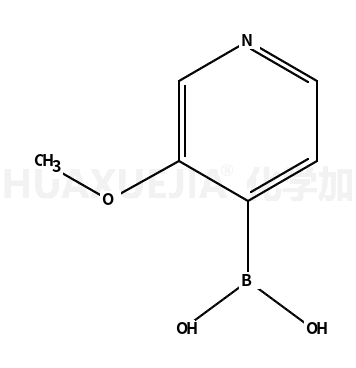 B-(3-甲氧基-4-吡啶)-硼酸