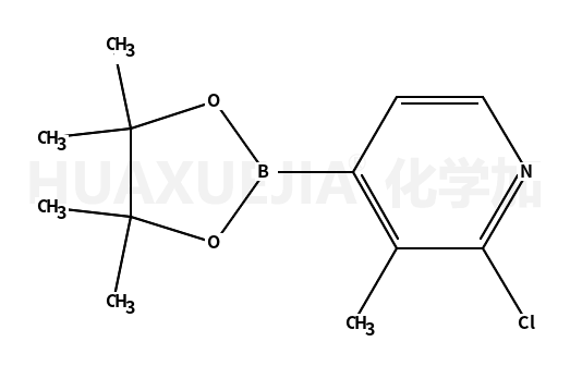 2-氯-3-甲基吡啶-4-硼酸频那醇酯