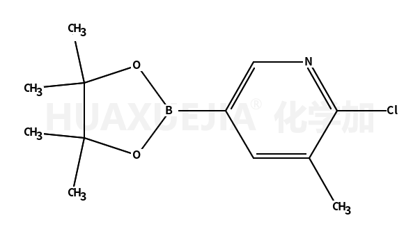 6-氯-5-甲基吡啶-3-硼酸频哪醇酯