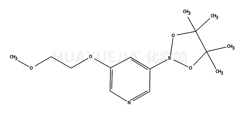 3-(2-甲氧基乙氧基)-5-(4,4,5,5-四甲基-1,3,2-二噁硼烷-2-基)-吡啶