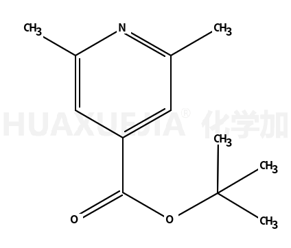 2,6-dimethylisonicotinic acid tert-butyl ester