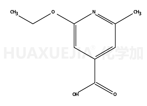 2-乙氧基-6-甲基异烟酸