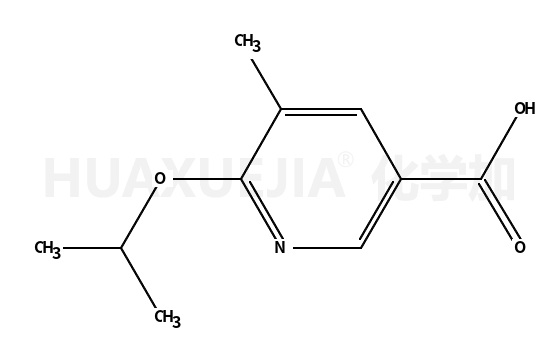 6-异丙氧基-5-甲基烟酸