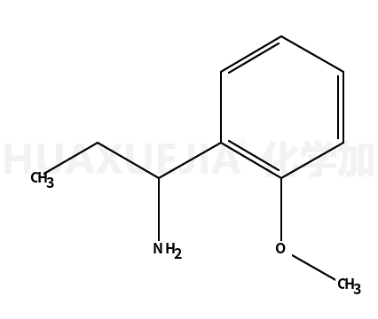 1-(2-甲氧基苯基)丙胺盐酸盐