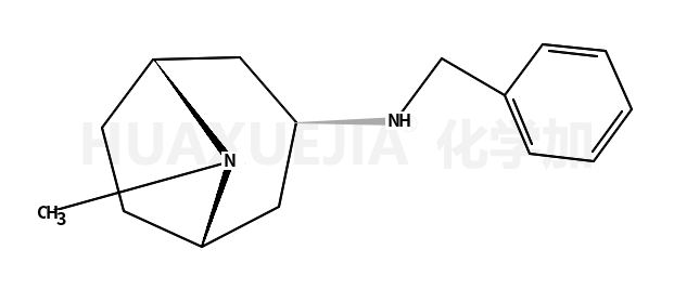 内-N-苄基-3-氨基托烷