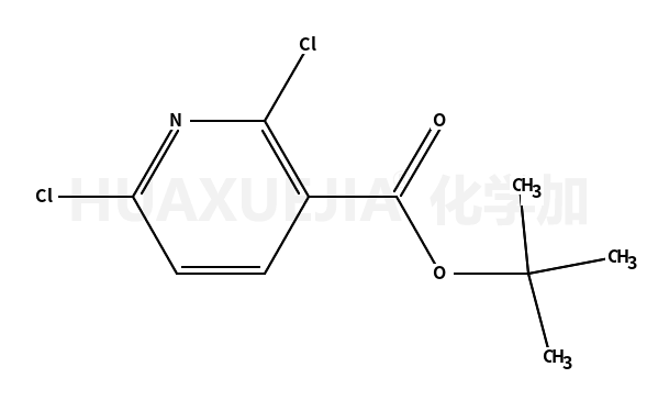 tert-butyl 2,6-dichloropyridine-3-carboxylate