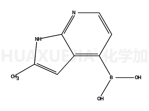 B-(2-甲基-1H-吡咯并[2,3-b]吡啶-4-基)硼酸