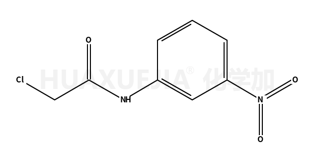 2-氯-3'-硝基乙酰苯胺