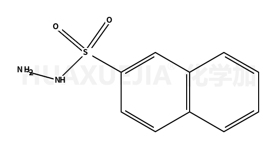 萘-2-磺酰肼