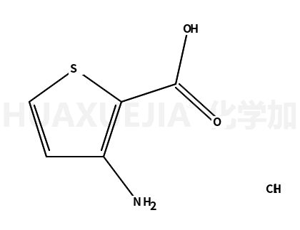 3-氨基-噻吩-2-羧酸盐酸盐