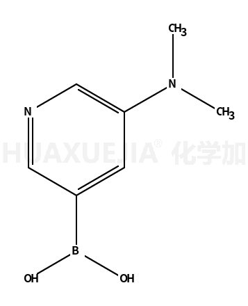 5-(二甲基氨基)吡啶-3-硼酸