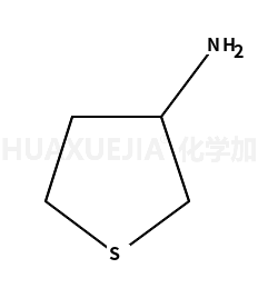 3-氨基四氢噻吩