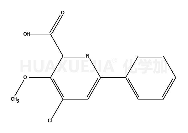 4-氯-3-甲氧基-6-苯基-吡啶-2-羧酸