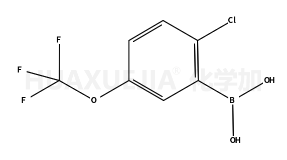 2-氯-5-三氟甲氧基苯硼酸