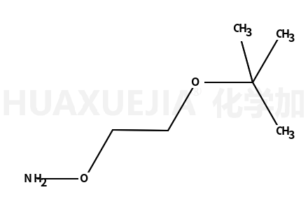 O-(2-叔丁氧基乙基)羟胺