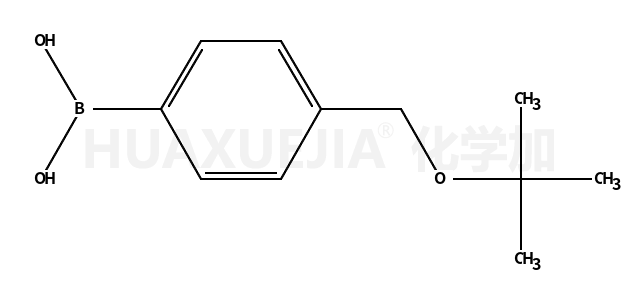 4 - (叔丁氧基甲基)苯硼酸