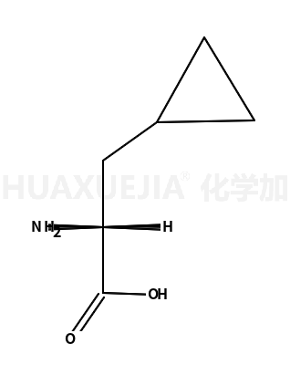 L-环丙基丙氨酸