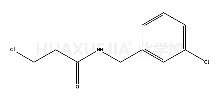 3-氯-n-(3-氯苄基)丙酰胺