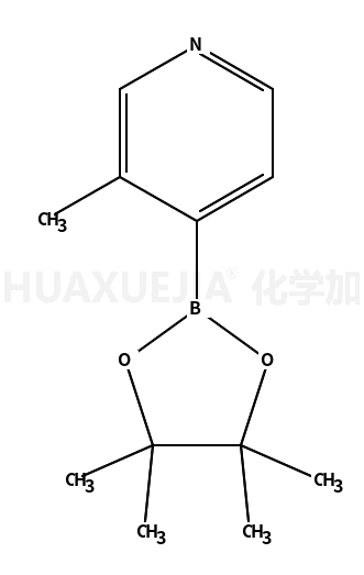 3-甲基-4-(4,4,5,5-四甲基-1,3,2-二氧硼烷)-吡啶