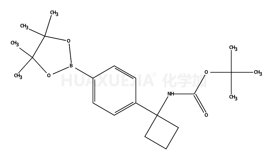 1-(4-(4,4,5,5-四甲基-1,3,2-二氧硼戊环-2-基)苯基)环丁基氨基甲酸叔丁酯
