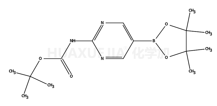 [2-(叔丁氧羰基氨基)嘧啶-5-基]硼酸频哪醇酯