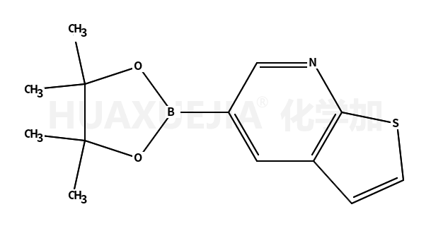 5-(4,4,5,5-四甲基-1,3,2-二噁硼烷-2-基)-噻吩并[2,3-b]吡啶