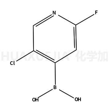 2-氟-5-氯吡啶-4-硼酸