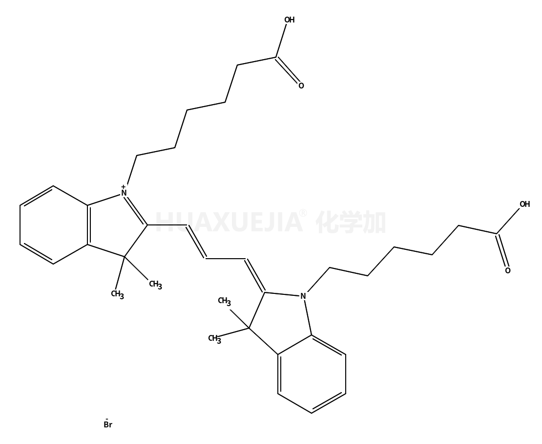 Cy3 DiAcid