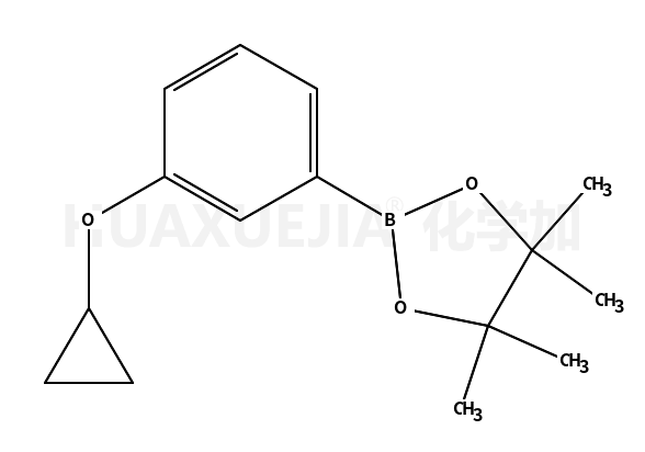 2-(3-环丙氧基苯基)-4,4,5,5-四甲基-1,3,2-二噁硼烷
