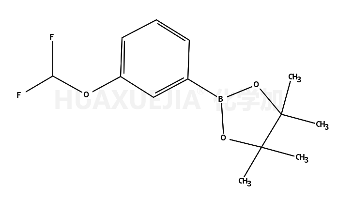 2-(3-(difluoromethoxy)phenyl)-4,4,5,5-tetramethyI-1,3,2-dioxaborolane