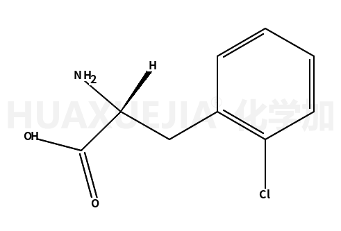 L-2-氯苯丙氨酸