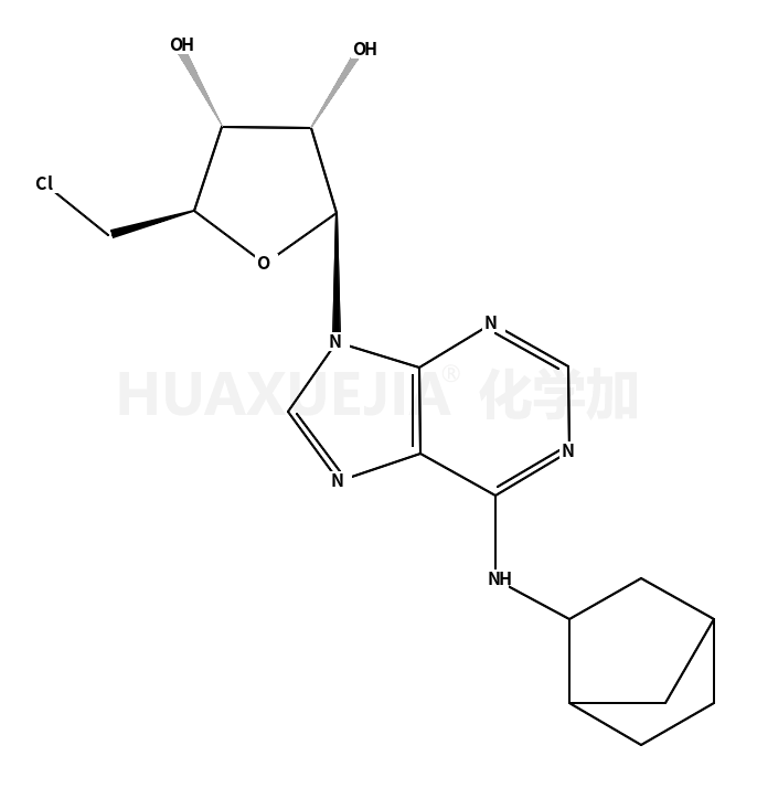 N-双环[2.2.1]-2-庚基-5-氯-5-脱氧腺苷酸