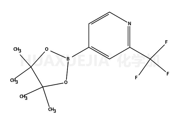 4-(4,4,5,5-四甲基-1,3,2-二氧硼烷)-2-三氟甲基吡啶