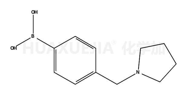 4-(吡咯烷-1-基甲基)苯基硼酸