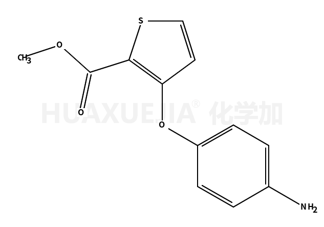 3-(4-氨基苯氧基)-2-噻吩羧酸甲酯