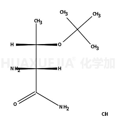 O-叔丁基-L-苏氨酸酰胺盐酸盐