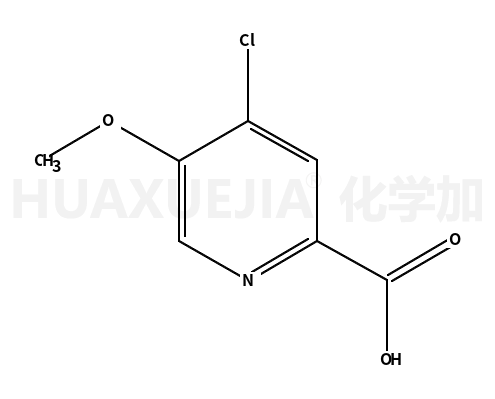 4-chloro-5-methoxypyridine-2-carboxylic acid