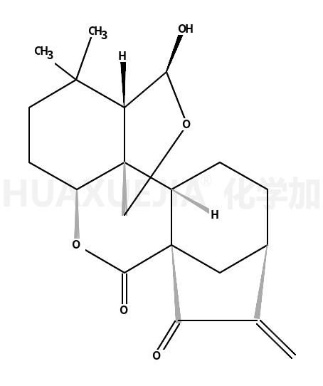 大萼香茶菜甲素