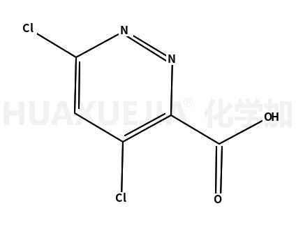 4,6-二氯-3-哒嗪甲酸