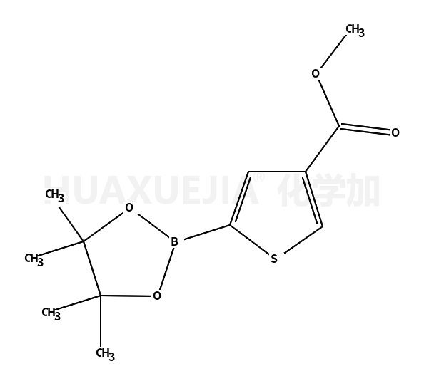 5-(4,4,5,5-四甲基-1,3,2-二噁硼烷-2-基)噻吩-3-羧酸甲酯