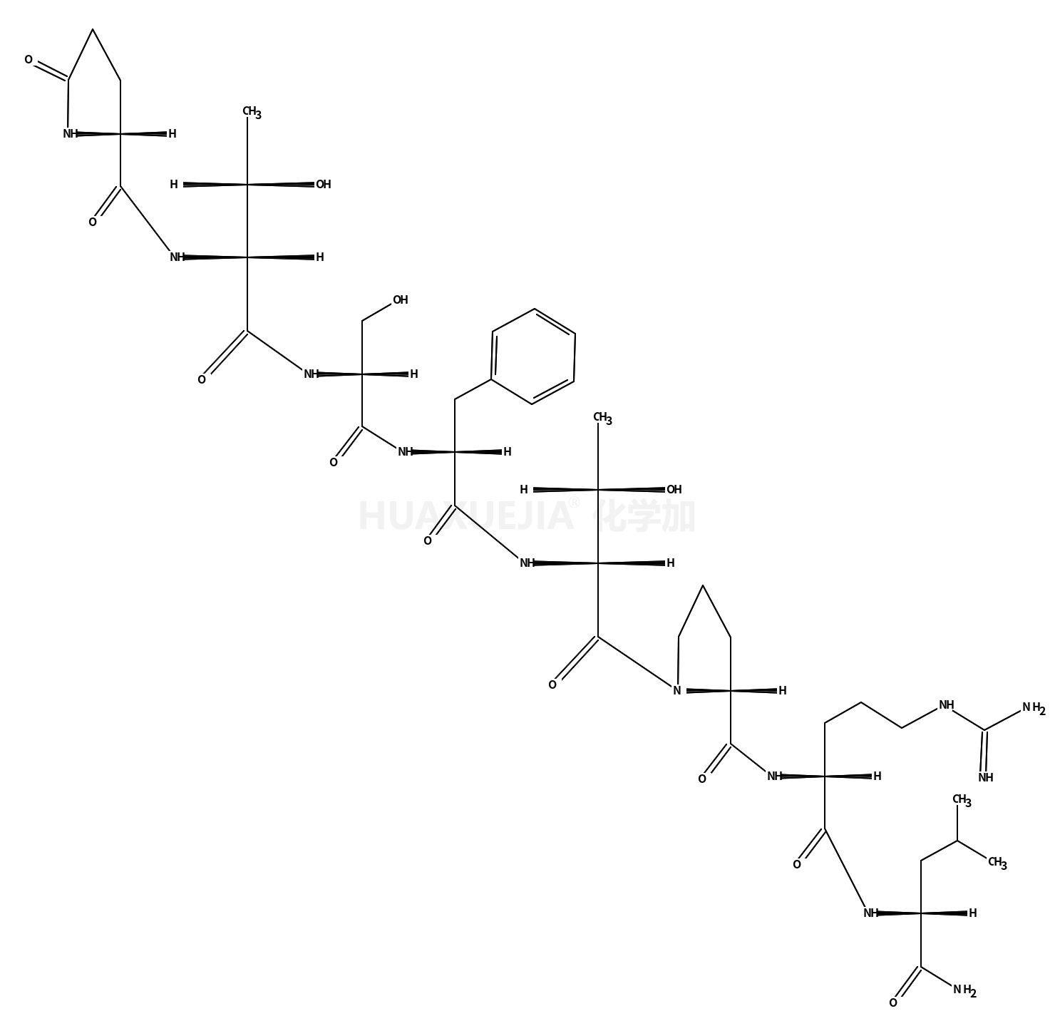 Leucopyrokinin (LPK)