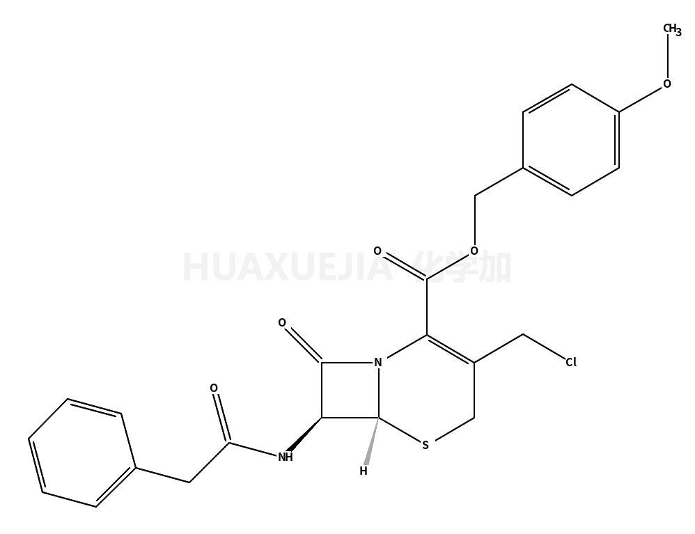 7-苯乙酰氨基-3-氯甲基-4-头孢烷酸对甲氧基苄酯