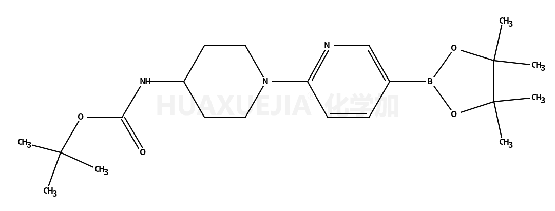 N-[1-[5-(4,4,5,5-四甲基-1,3,2-二噁硼烷-2-基)-2-吡啶]-4-哌啶基]氨基甲酸 1,1-二甲基乙酯