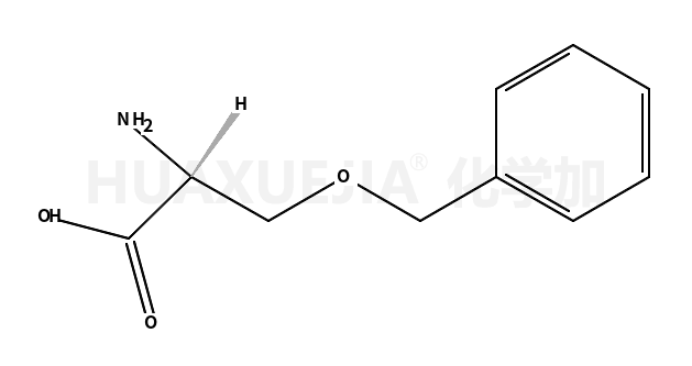 O-苄基-D-丝氨酸
