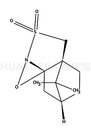 (2S,8aR)-(-)-(樟脑磺酰)哑嗪