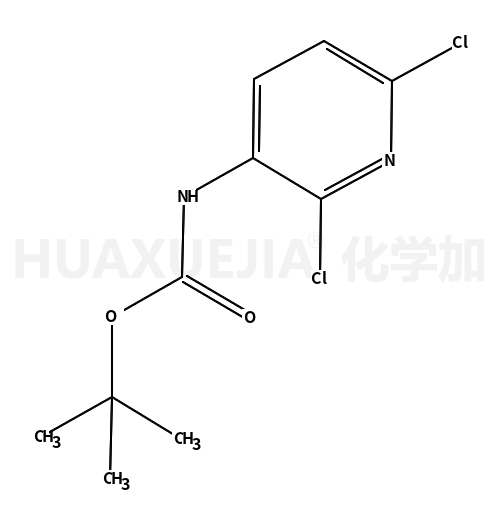 tert-butyl 2,6-dichloropyridin-3-ylcarbamate