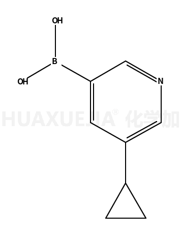 5-环丙基吡啶-3-硼酸